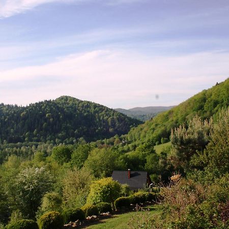 Lesny Dworek 1 Wolkowyja Buitenkant foto
