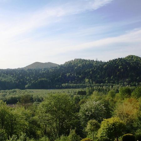 Lesny Dworek 1 Wolkowyja Buitenkant foto