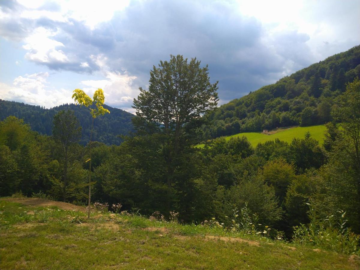Lesny Dworek 1 Wolkowyja Buitenkant foto