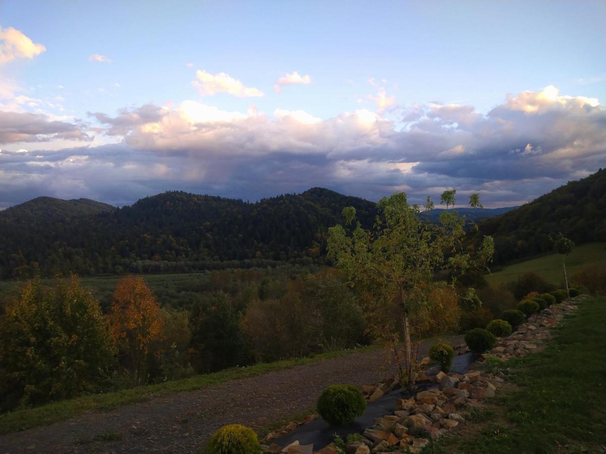 Lesny Dworek 1 Wolkowyja Buitenkant foto