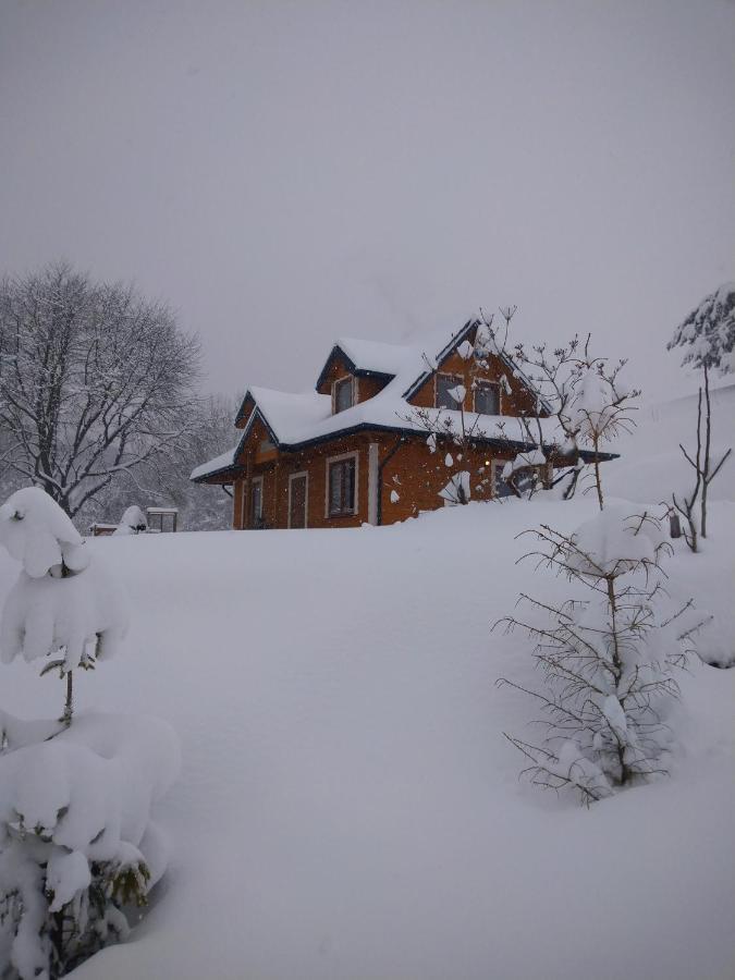 Lesny Dworek 1 Wolkowyja Buitenkant foto