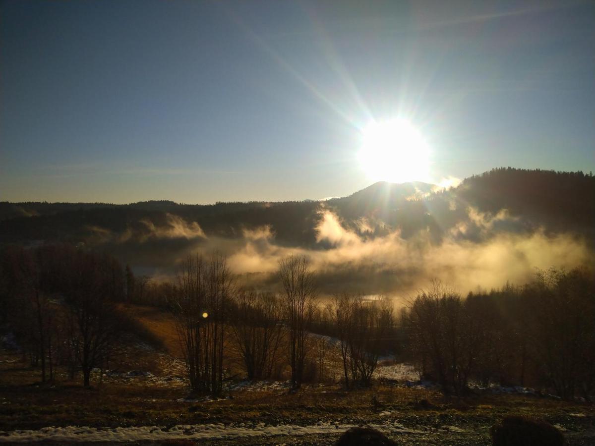 Lesny Dworek 1 Wolkowyja Buitenkant foto