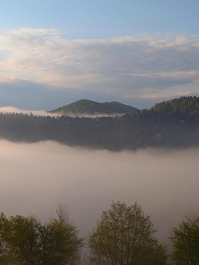 Lesny Dworek 1 Wolkowyja Buitenkant foto