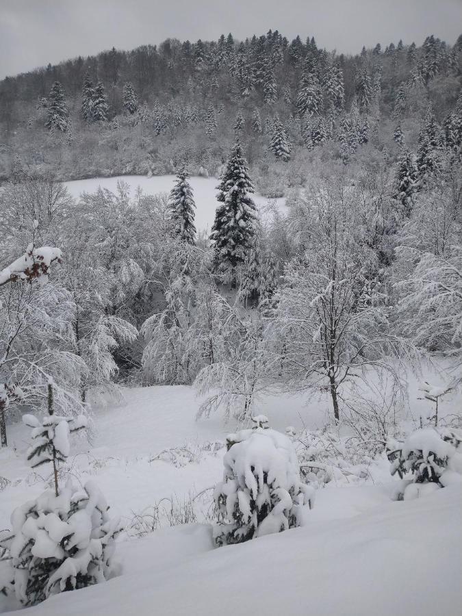 Lesny Dworek 1 Wolkowyja Buitenkant foto