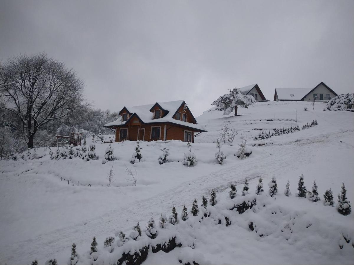 Lesny Dworek 1 Wolkowyja Buitenkant foto