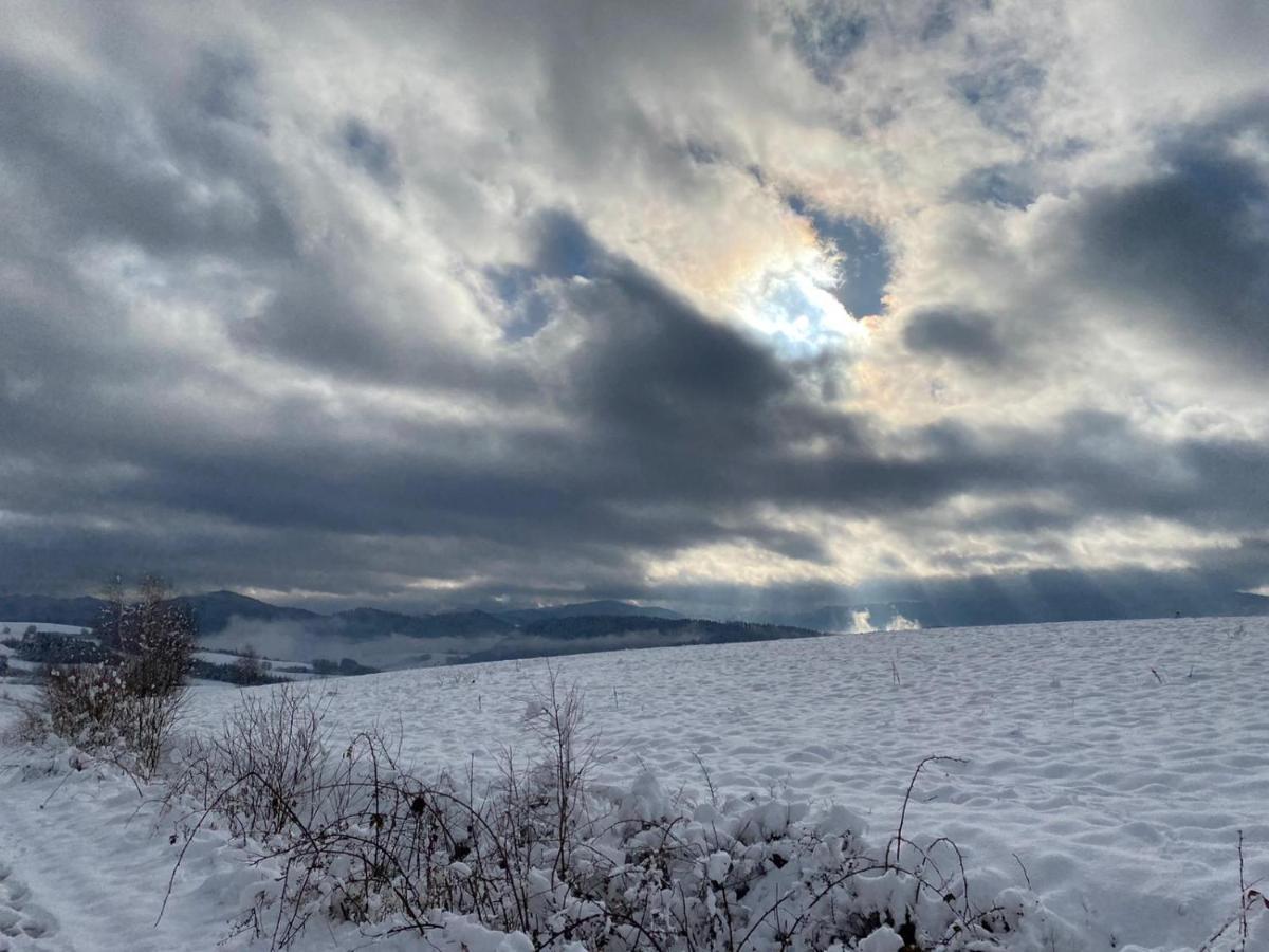 Lesny Dworek 1 Wolkowyja Buitenkant foto