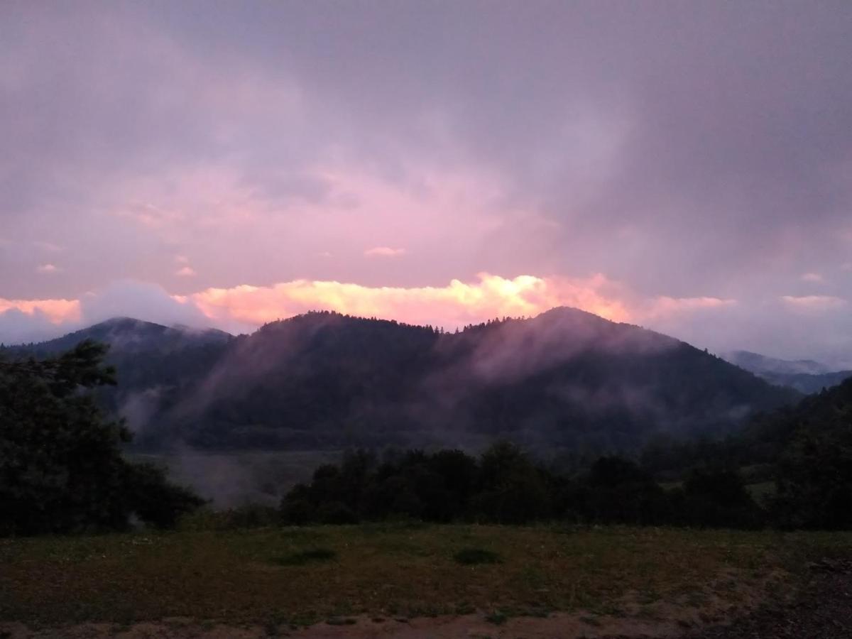 Lesny Dworek 1 Wolkowyja Buitenkant foto