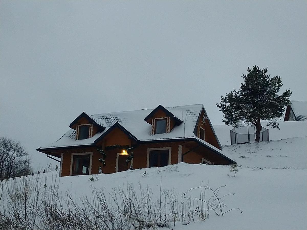 Lesny Dworek 1 Wolkowyja Buitenkant foto