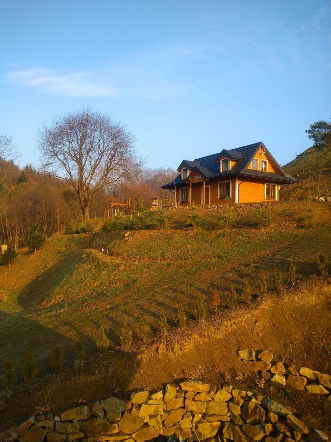 Lesny Dworek 1 Wolkowyja Buitenkant foto