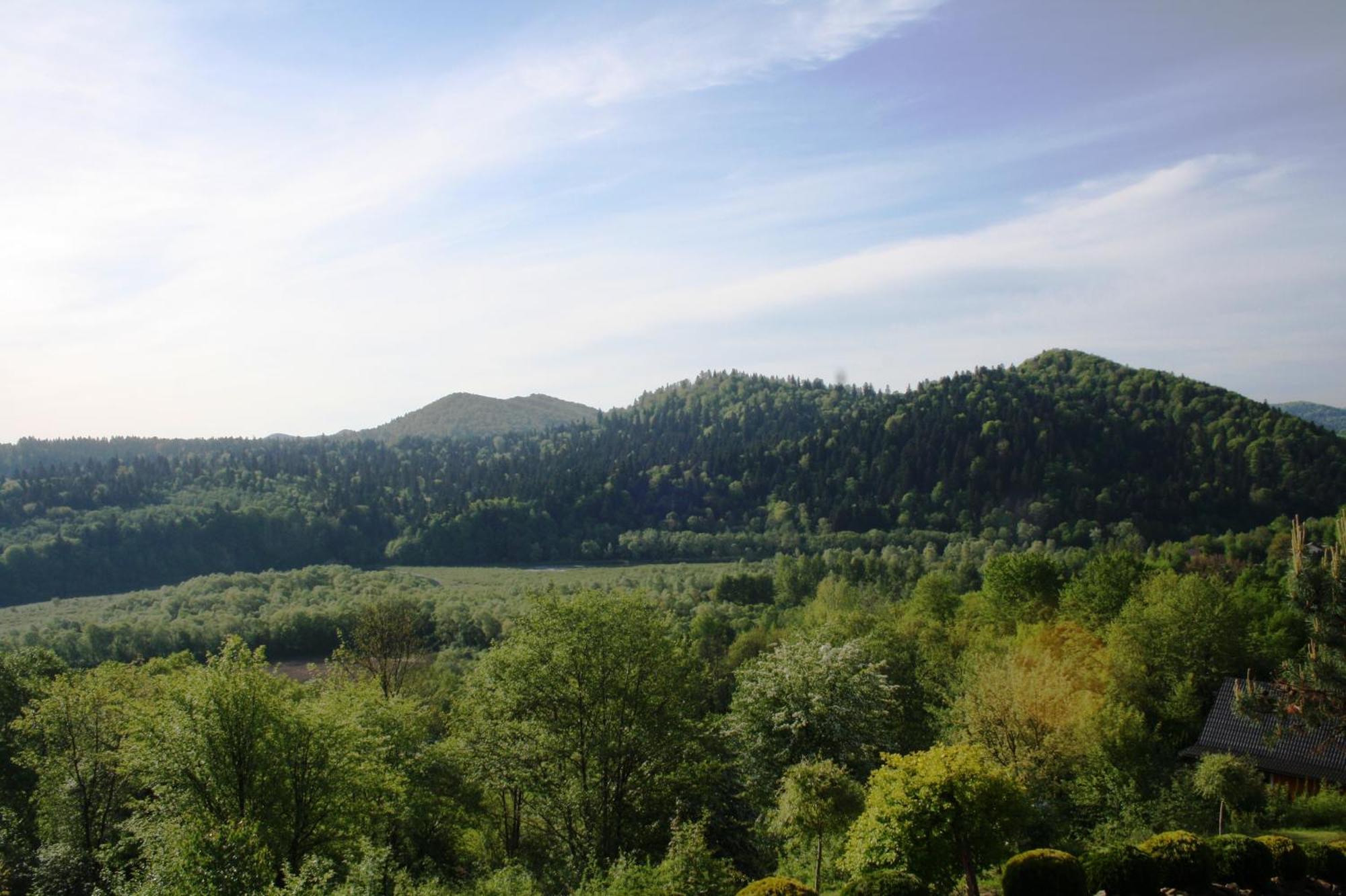 Lesny Dworek 1 Wolkowyja Buitenkant foto