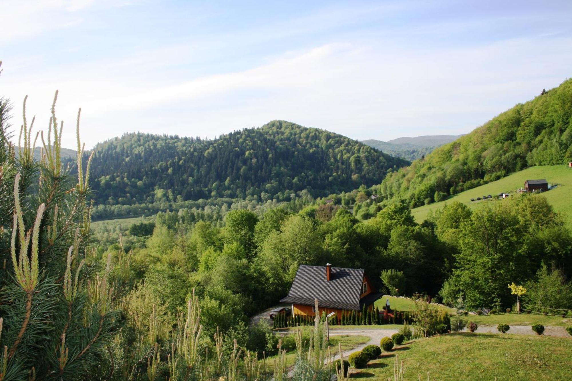 Lesny Dworek 1 Wolkowyja Buitenkant foto